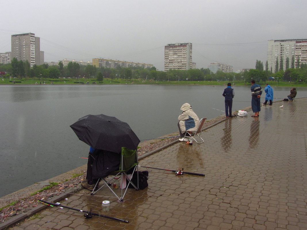 Дождь - рыбалке не помеха - Андрей Лукьянов