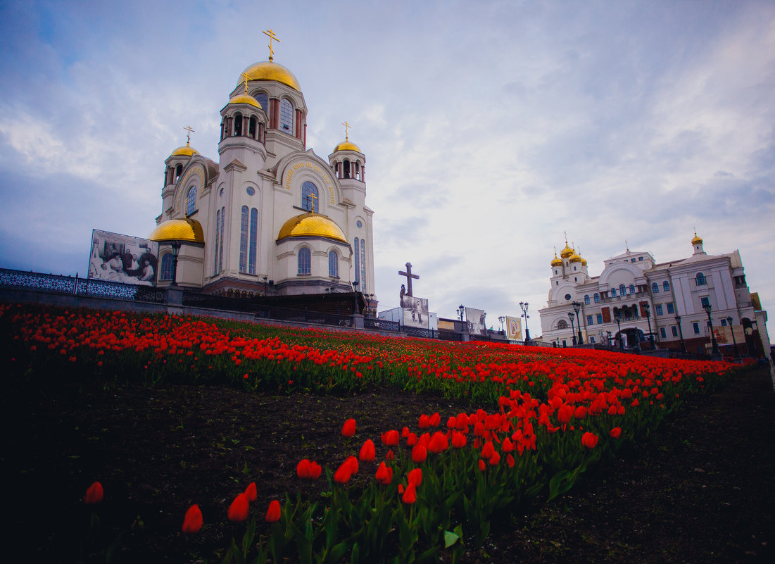 Храм-на-Крови - Наталья Егорова