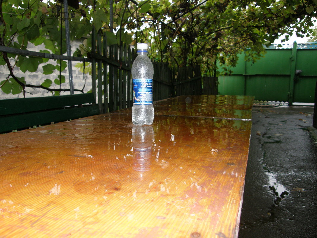 После дождя - Александр Казанцев