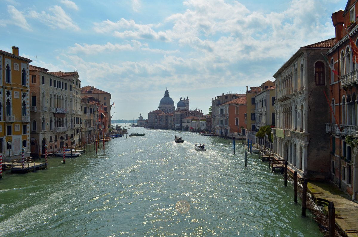 Venezia. Canal Grande. - Alex Haller