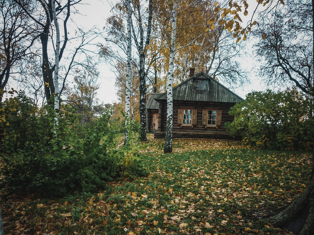 Одинокий домик - Olga Photo