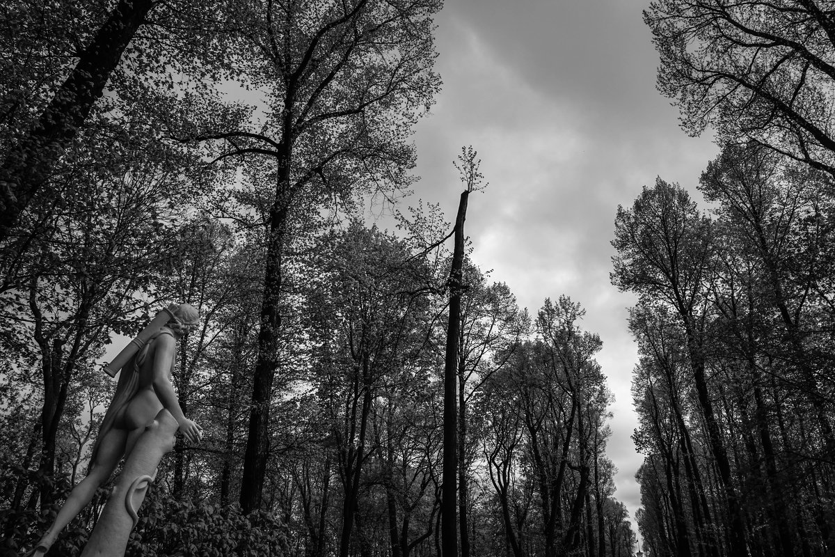 В Летнем саду - Ольга Гвоздева 