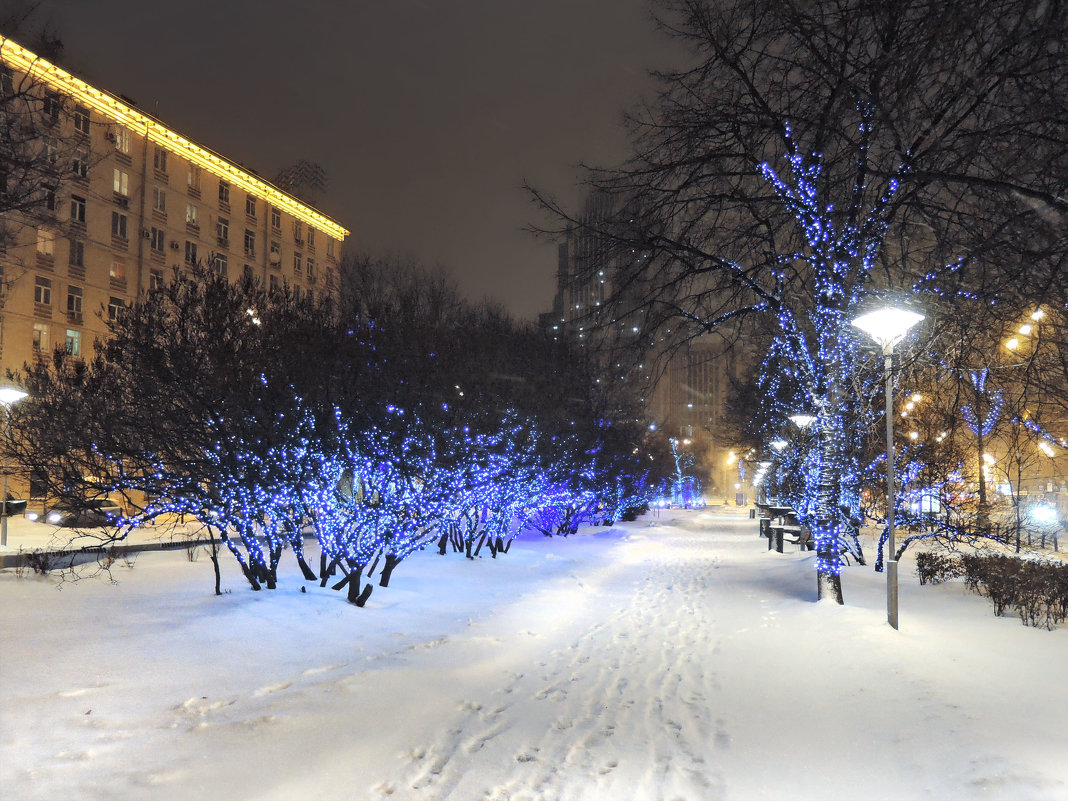 Москва. Зимняя ночь на Садовом - Денис Масленников