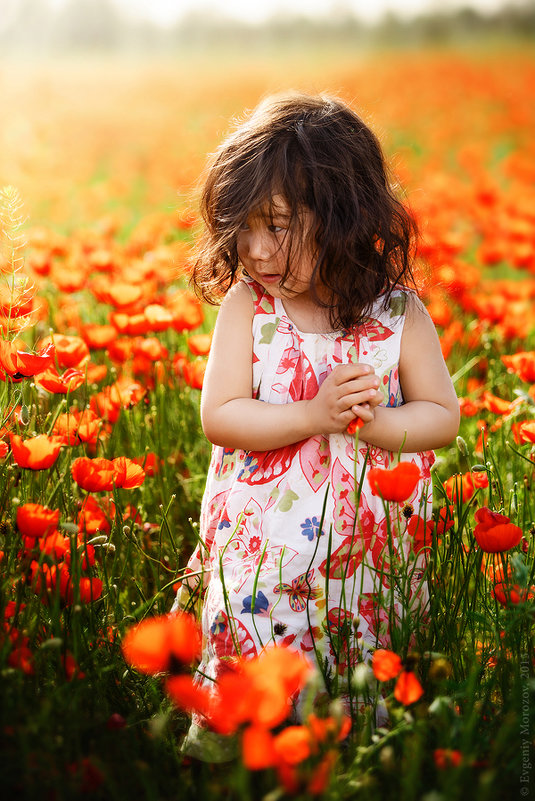 Girl and Flowers... - Евгений Морозов