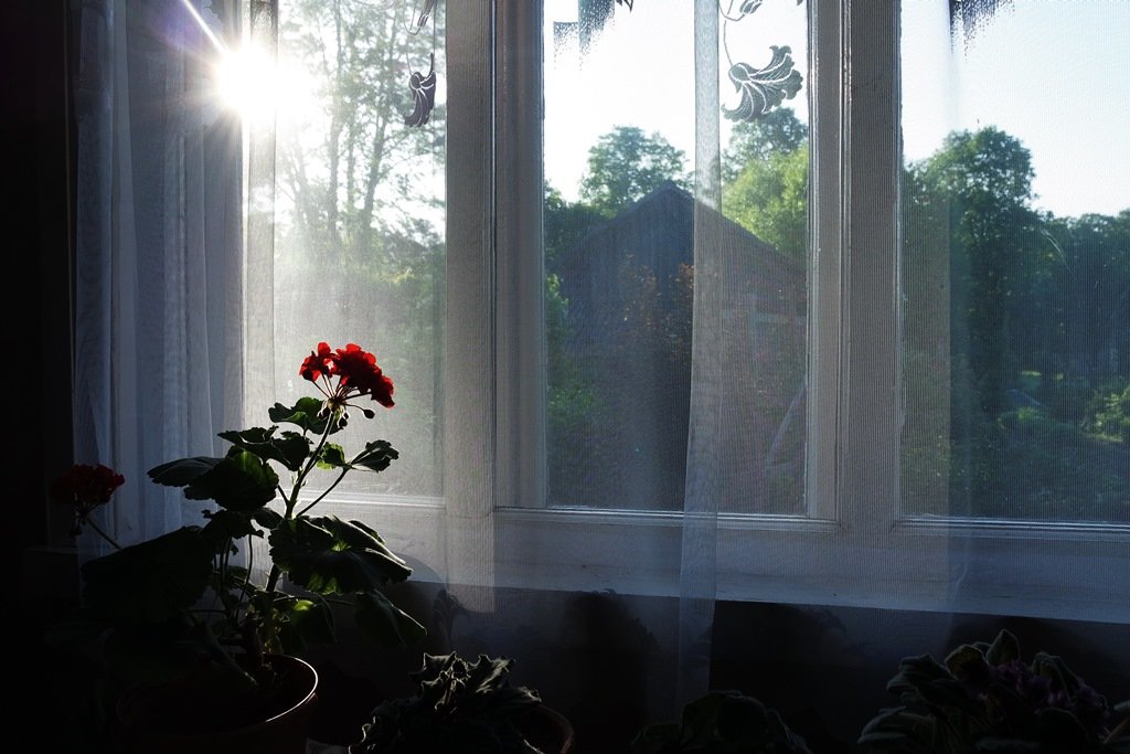 30.5.2015, восточное окно - Юрий Бондер
