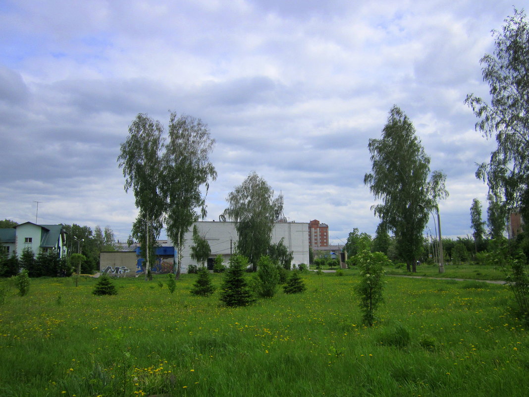 В парке городском . - Мила Бовкун