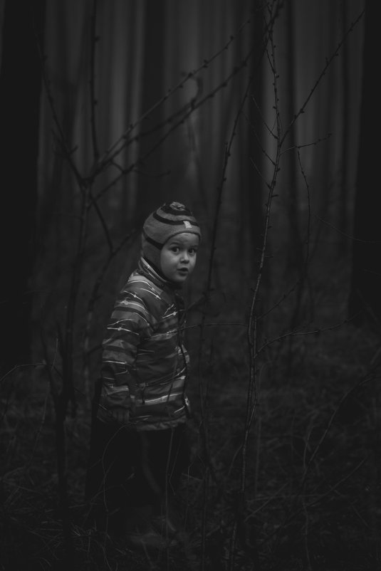 Темный лес - Сергей Игуменшев