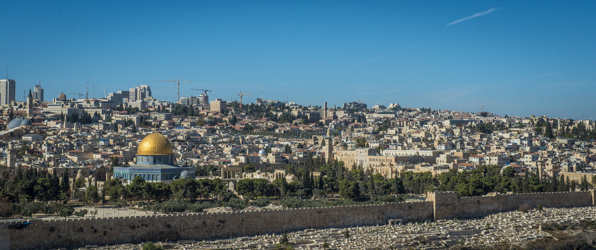 Вид на Иерусалим с Масляничной Горы - Сергей Вахов