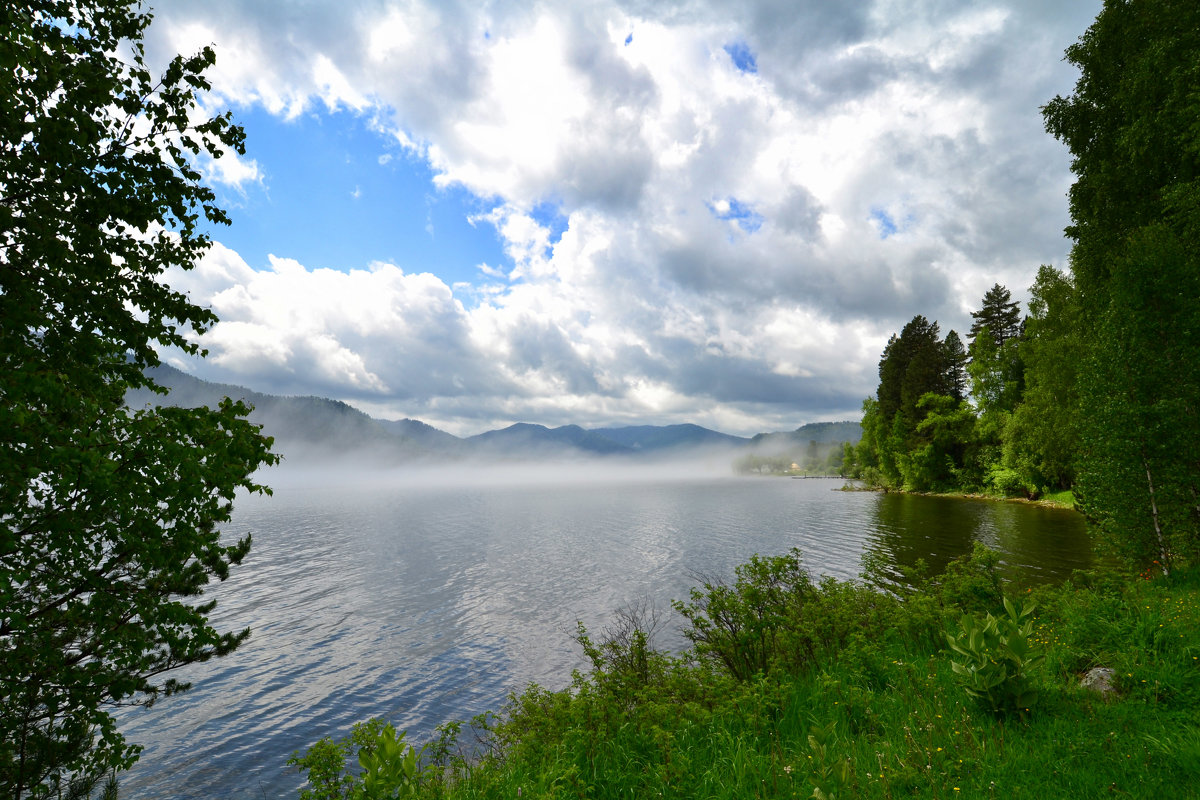 Туман на озере - Елена Шевелева 