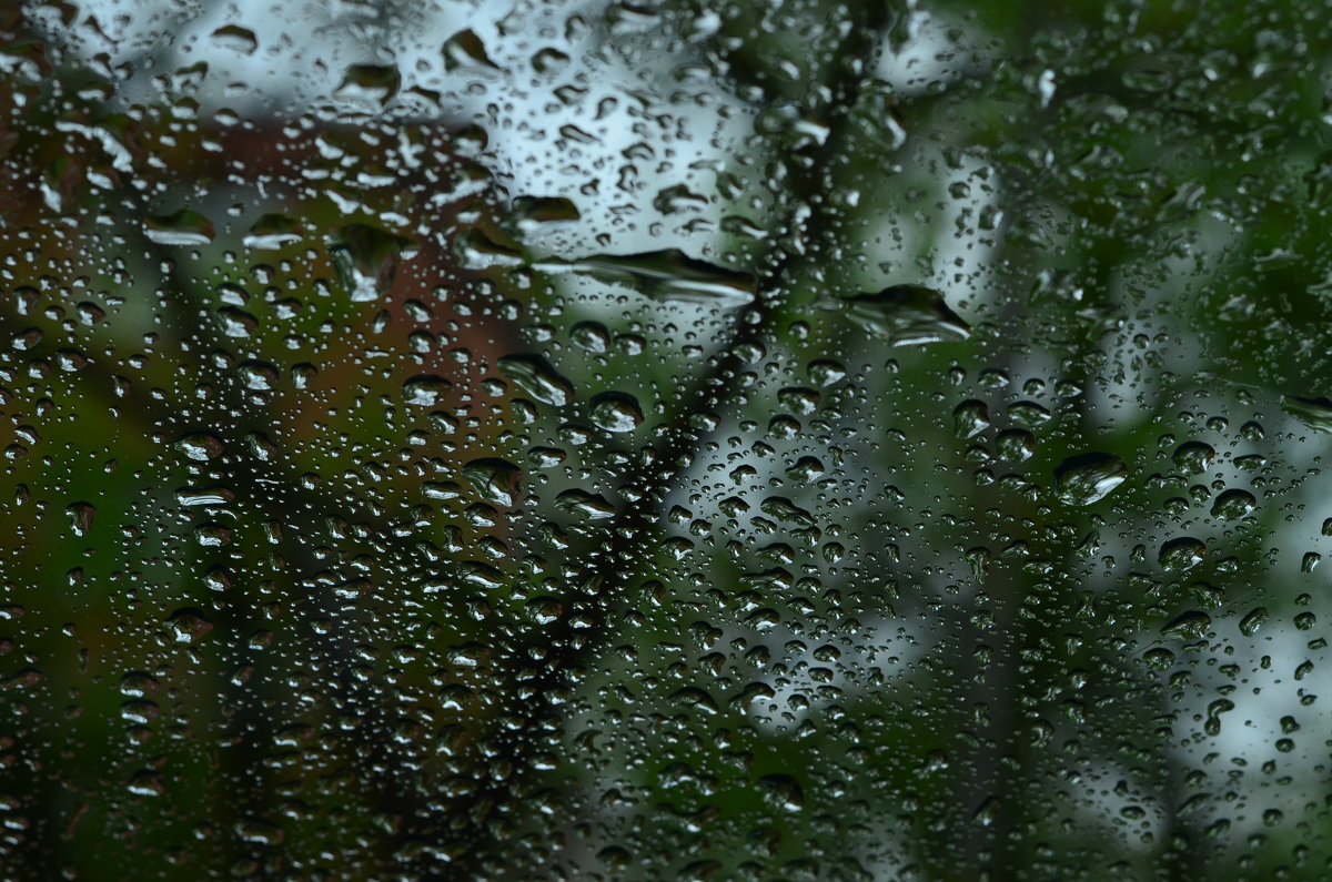 Дождь - Марина 