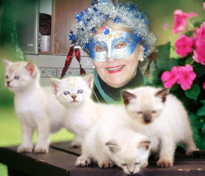 фотоколлаж с котятами - Алексей Полковников