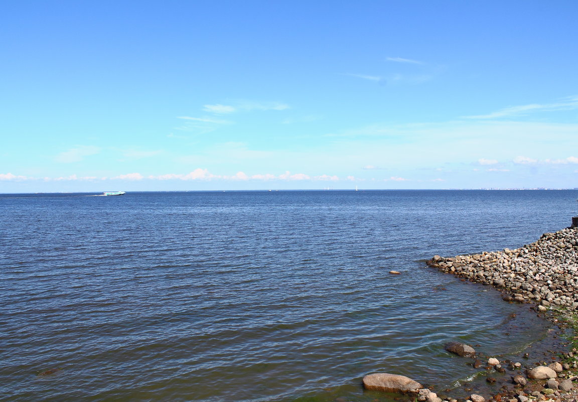 Вид на Финский залив - павло налепин