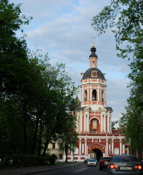 Донской монастырь - Вера (makivera)