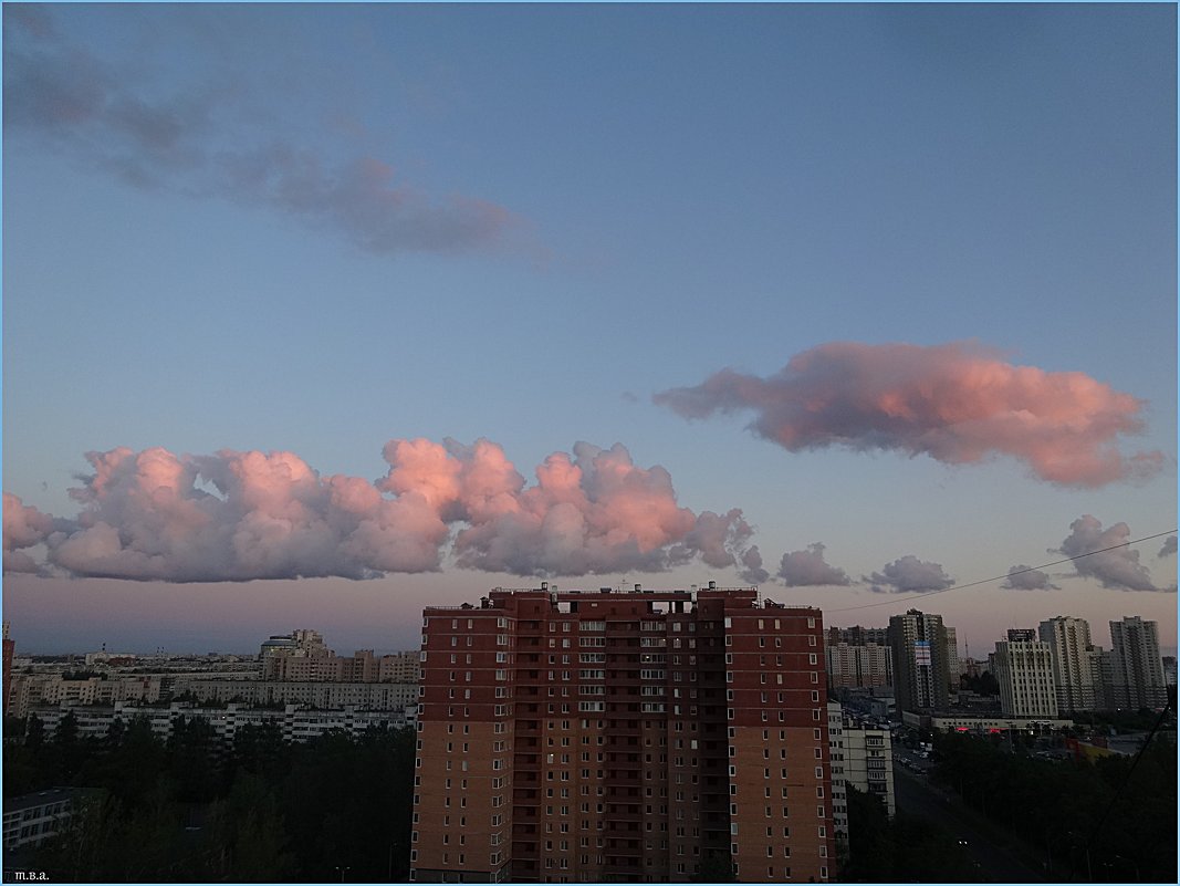 Розовые облака - Вера 