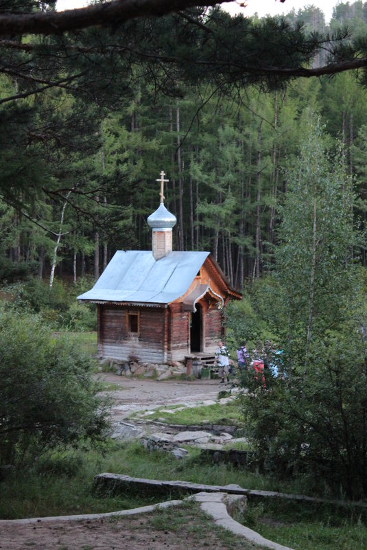 В лесной глуши - Лариса 