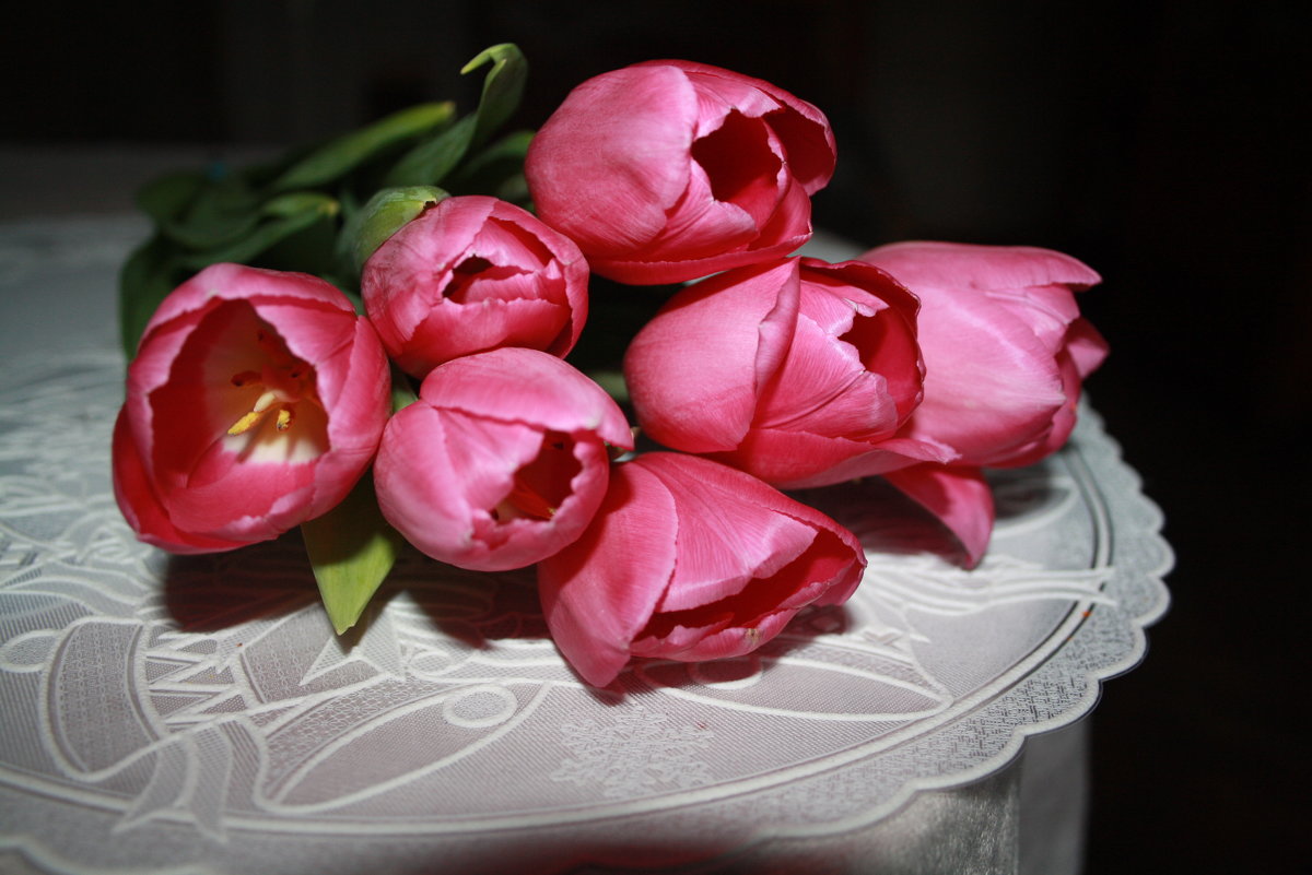 Тюльпаны - Наталия Павлова