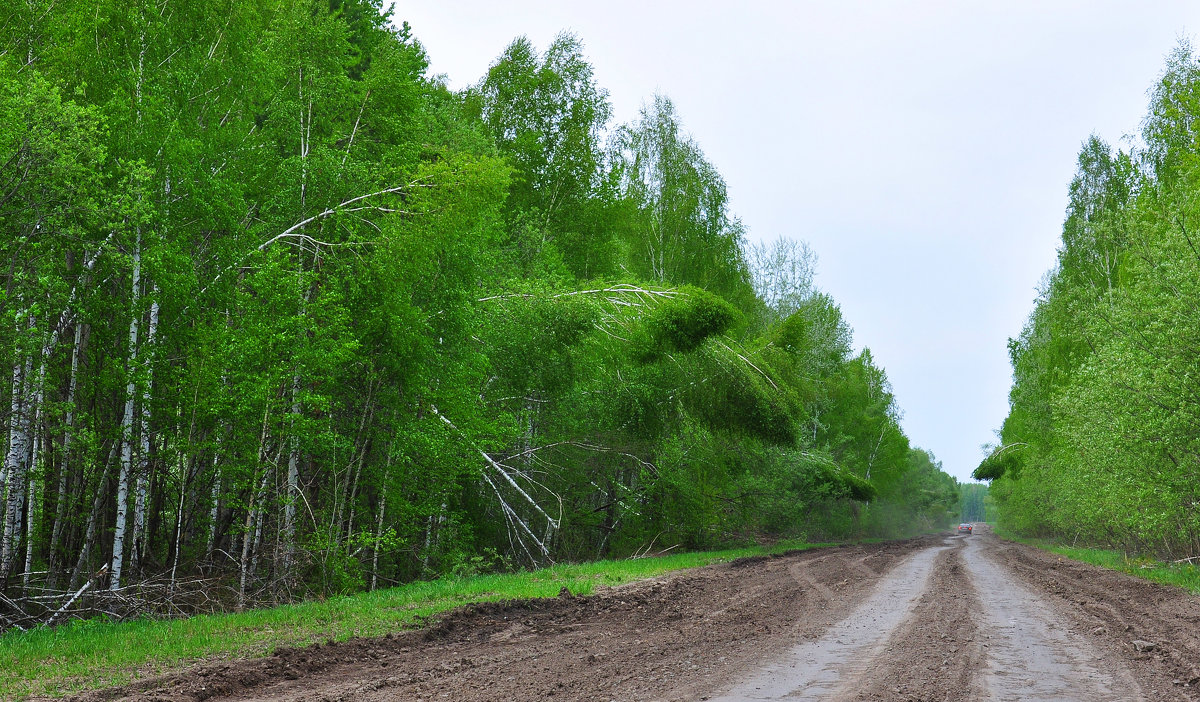 Дорога - Алексей http://fotokto.ru/id148151Морозов