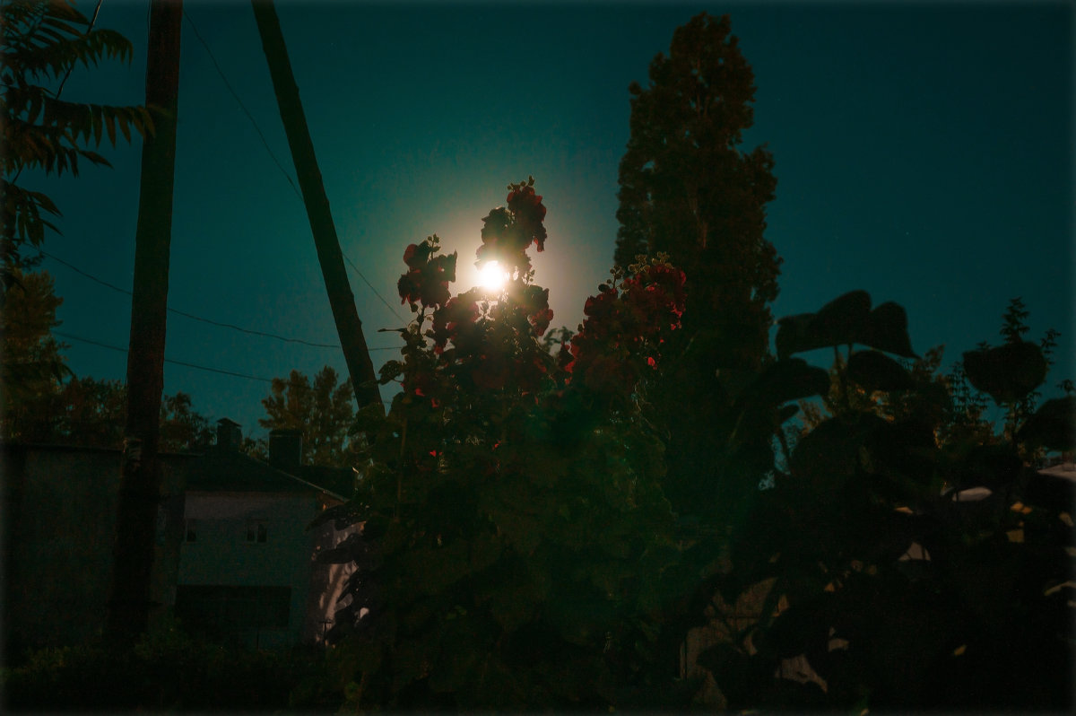 MOON LIGHT - Алексей Фотограф Михайловка