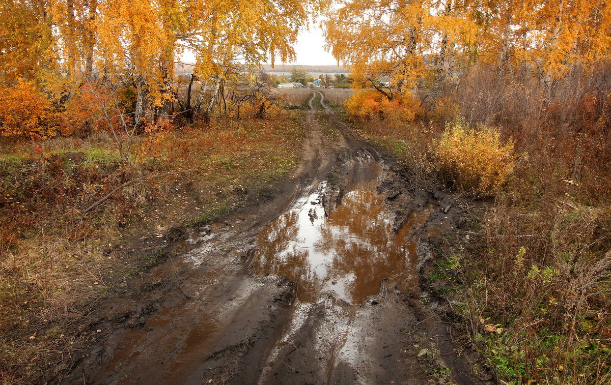 *** - Сергей Гульгас 