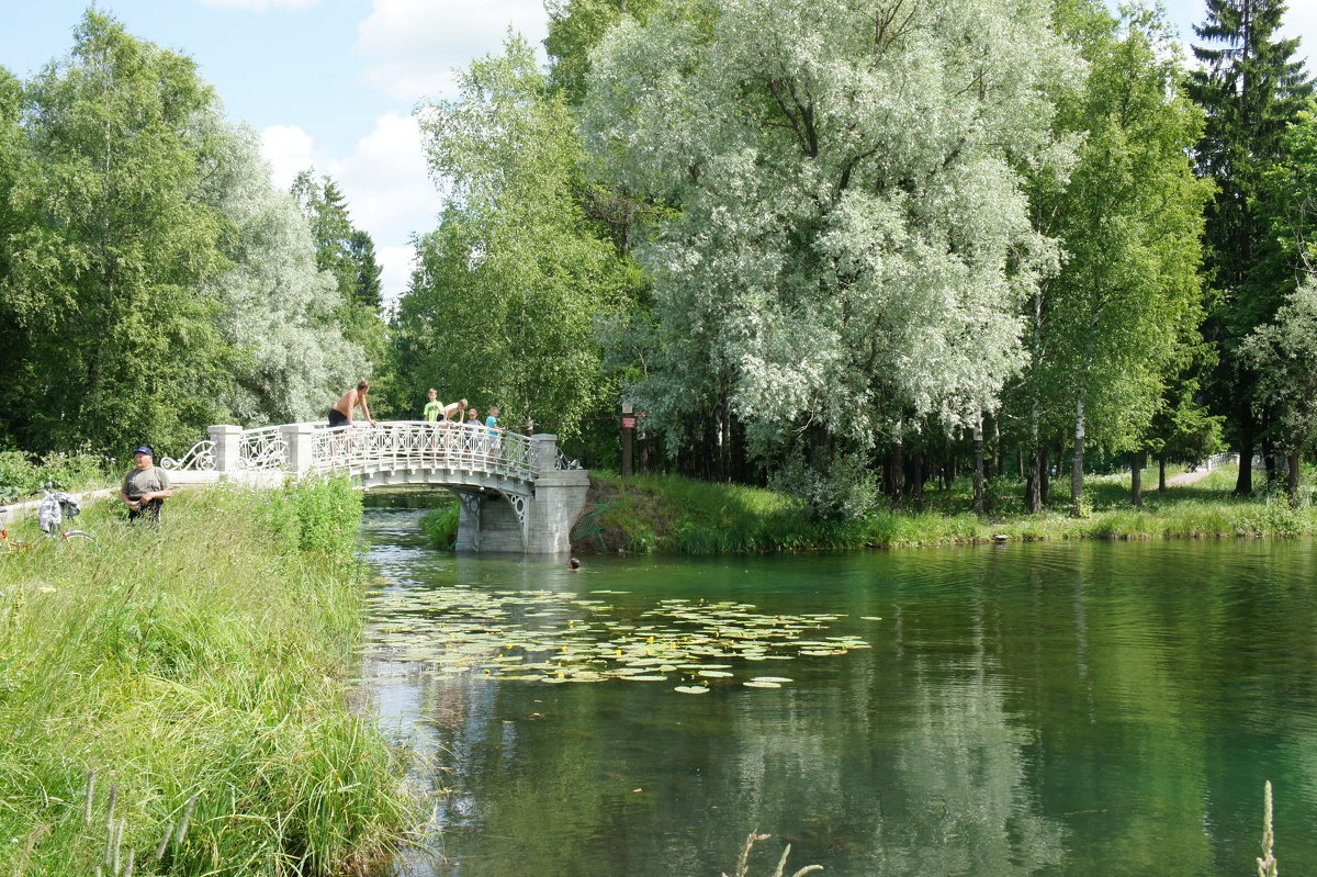 Один из мостиков с ажурной решеткой в районе Холодной ванны - Елена Павлова (Смолова)
