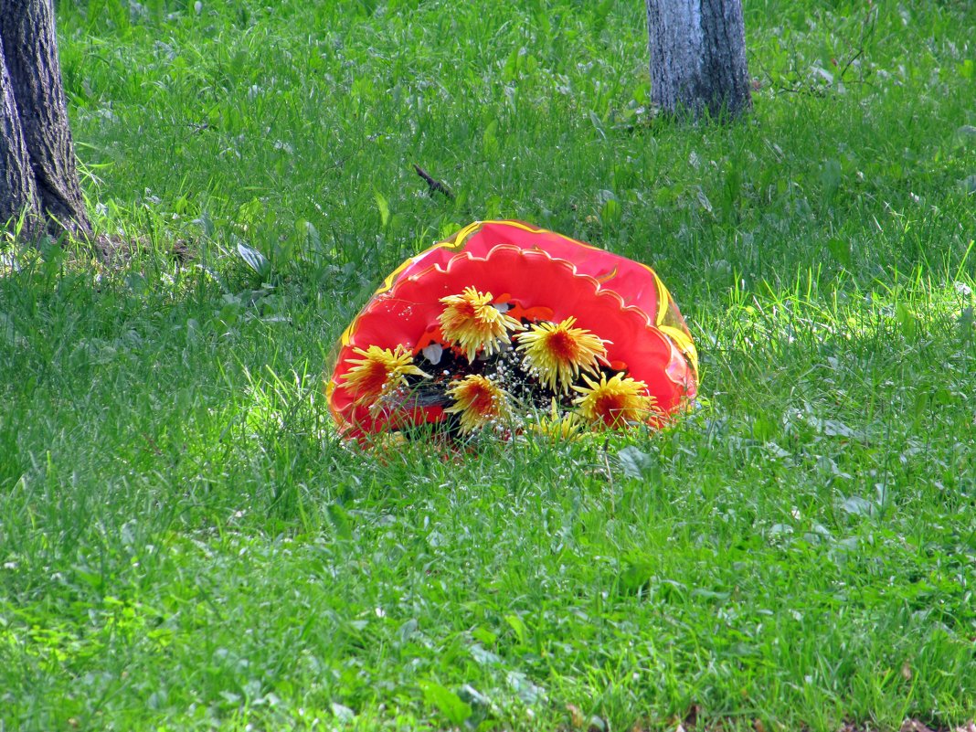 Цветы с зонтиком на траве - Вера Щукина