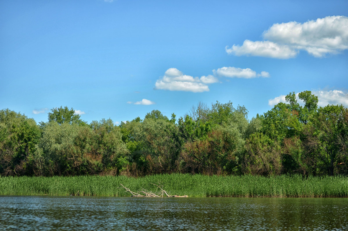 На реке - Marina Timoveewa