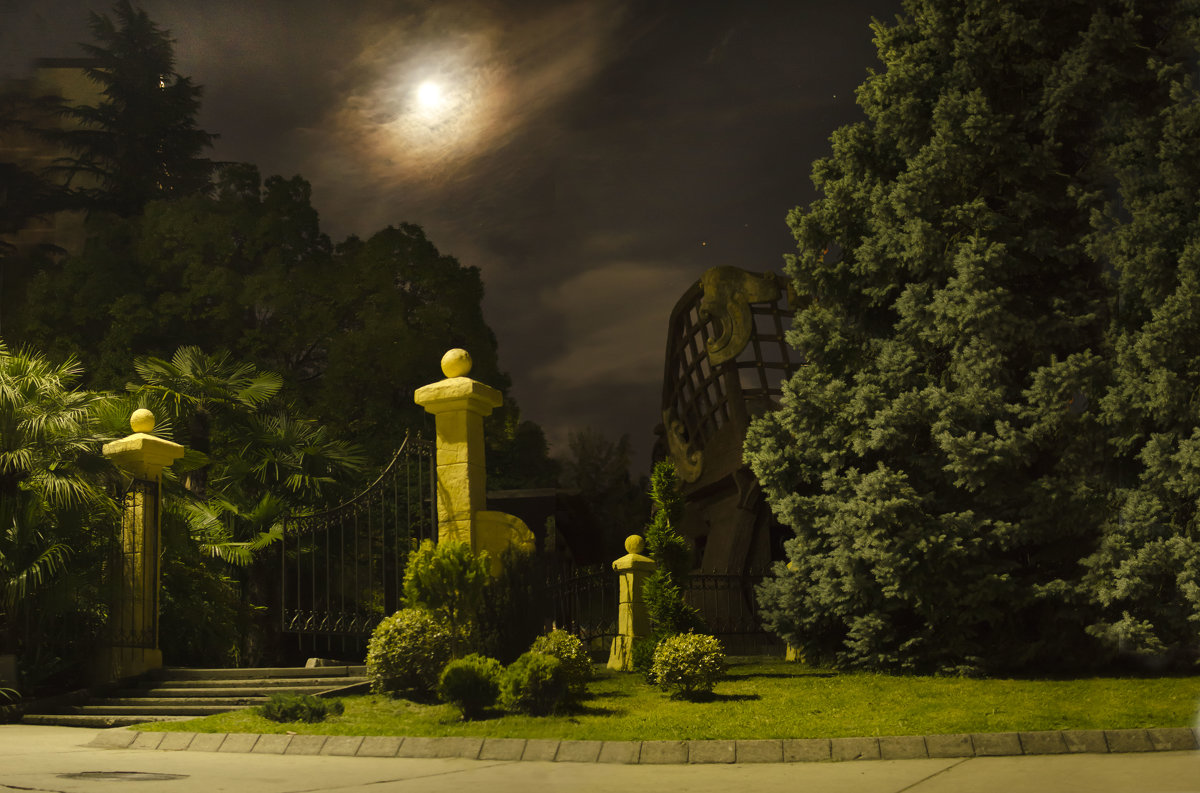 Ночь в парке - Сергей Лошкарёв