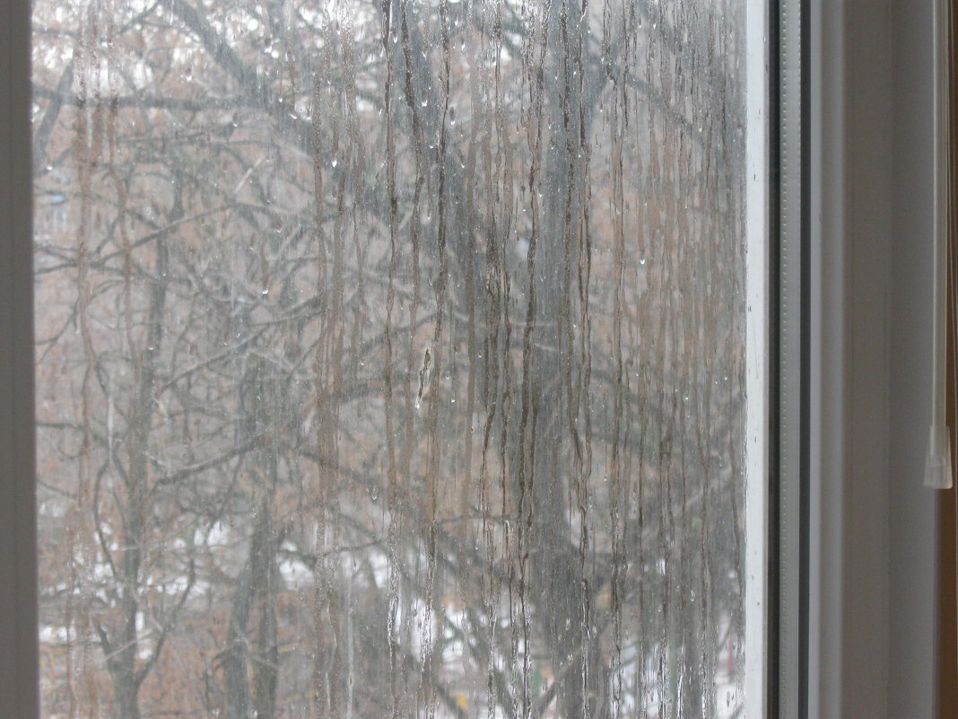 На земле снег .на стекле дождь - Лилия Дубчак
