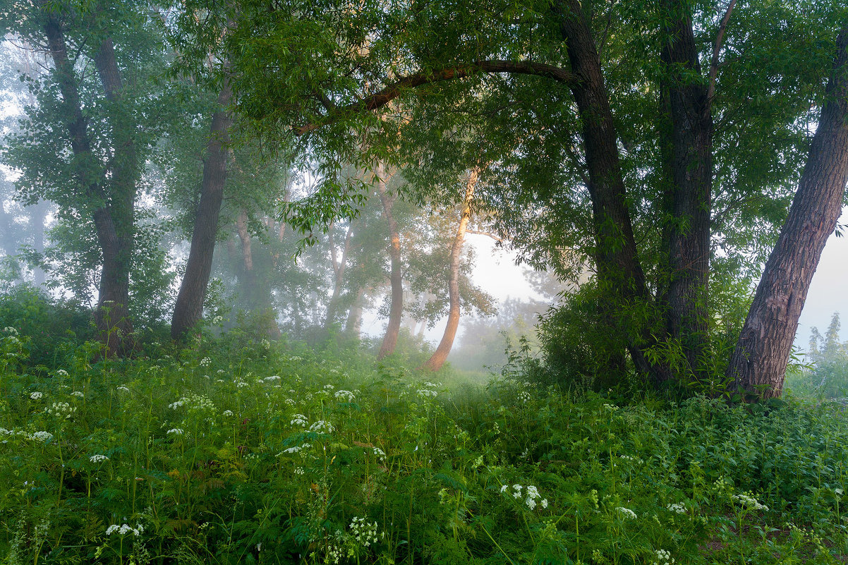 Как солнце встретилось с туманом - Юрий Морозов