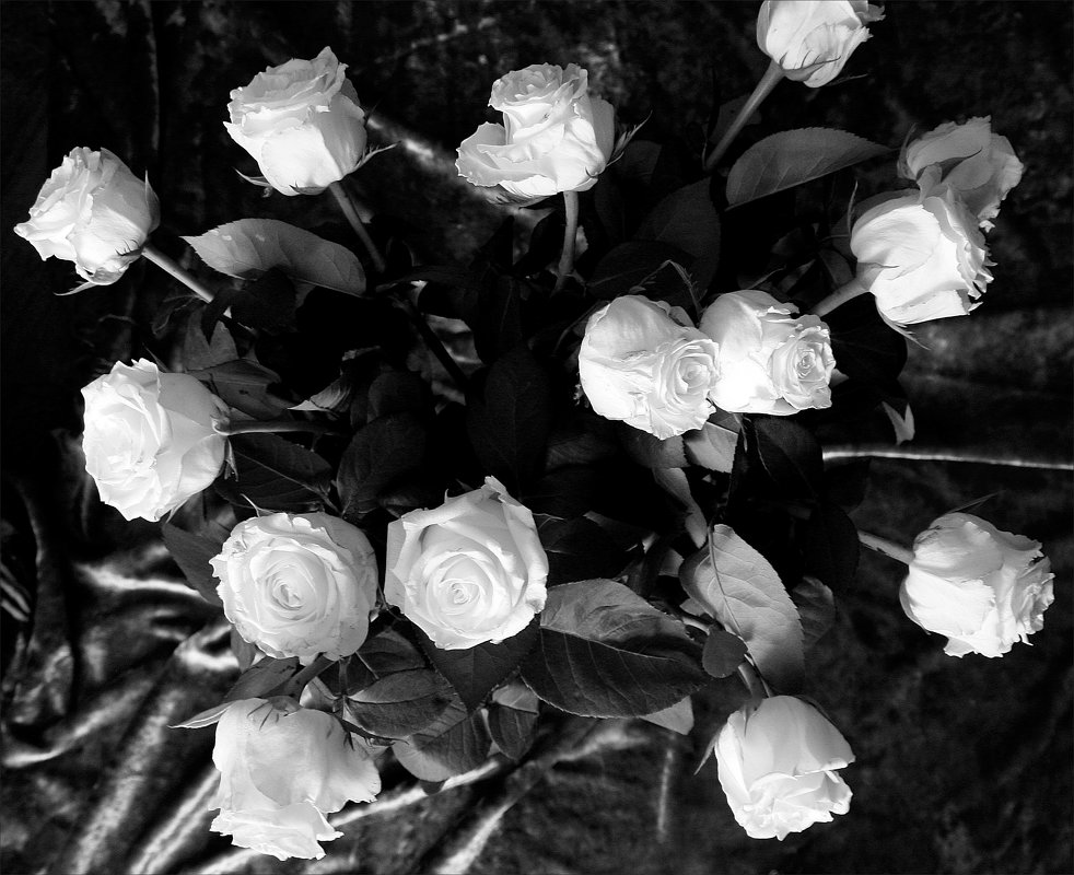 Белые  розы... - Валерия  Полещикова 