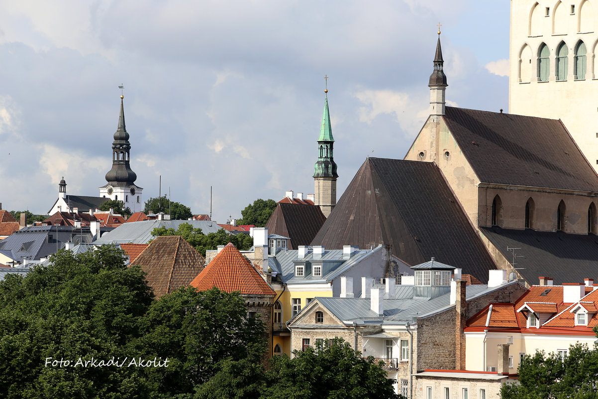 Fotostuudio Akolit, Tallinn, Arkadi Baranov - Аркадий  Баранов Arkadi Baranov