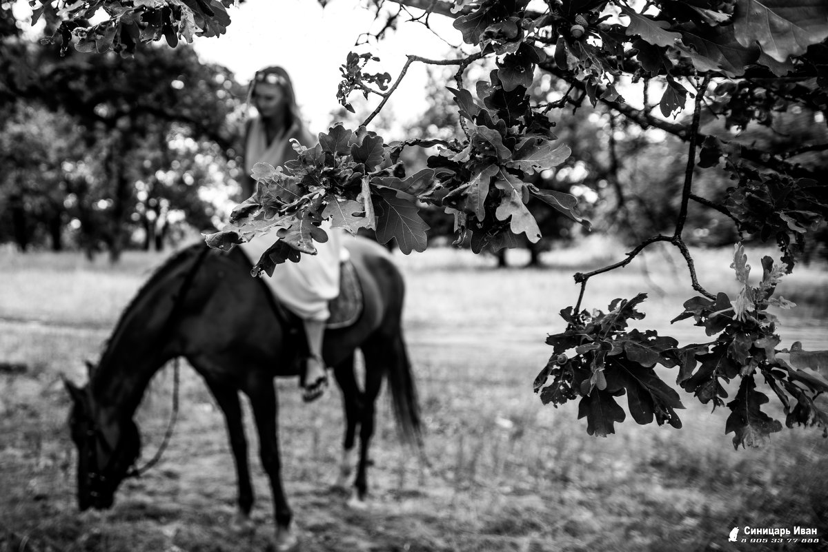 Девушка на лошадке - Иван Синицарь