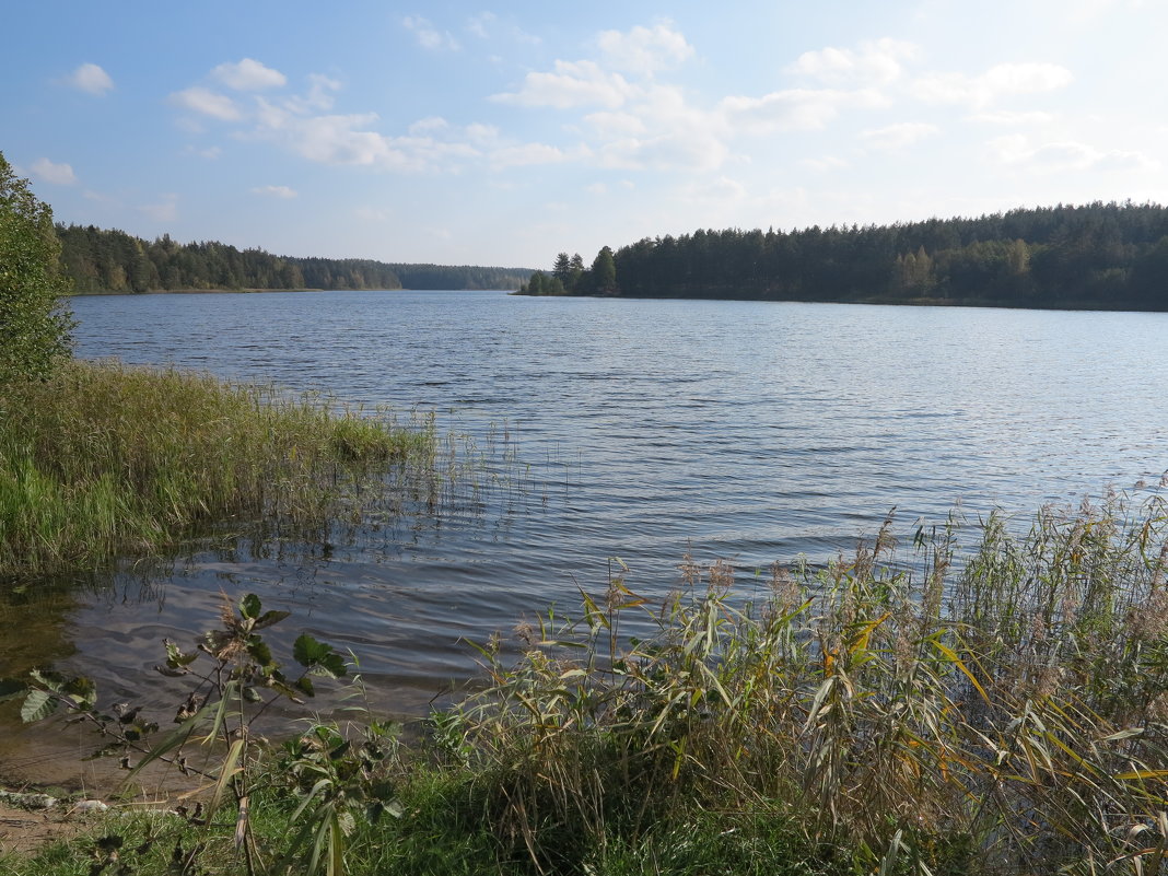 Озеро лесное - Наталья 