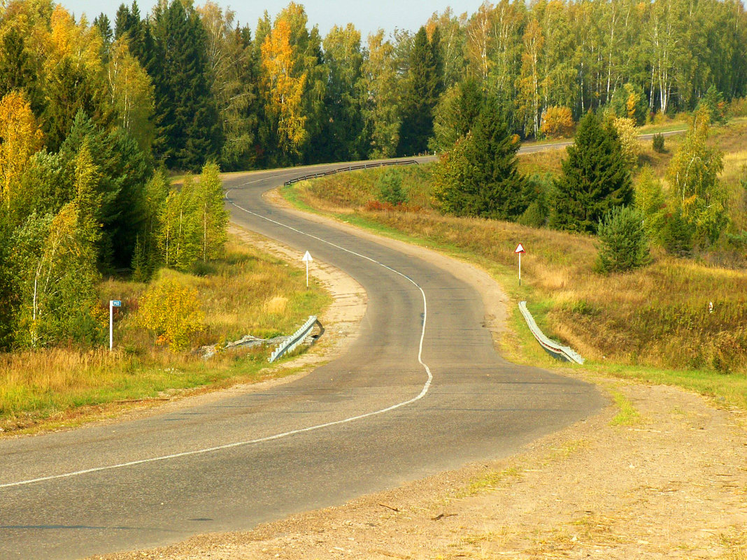 Дорога в лесу - Любовь 