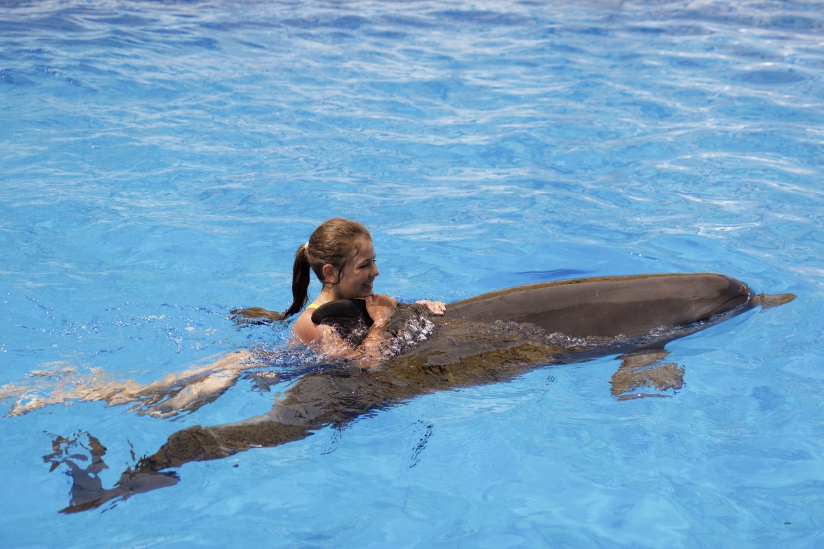 С дельфинами - Tatyana Garanova
