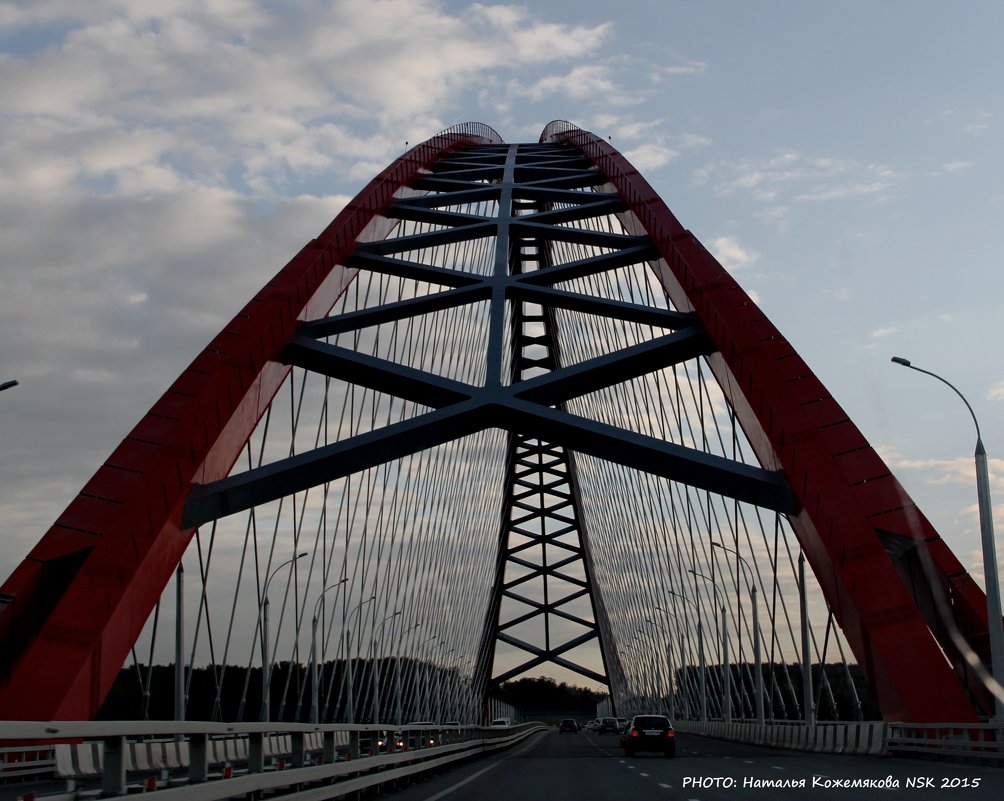 Бугринский мост. Новосибирск - Наталья Солнышко