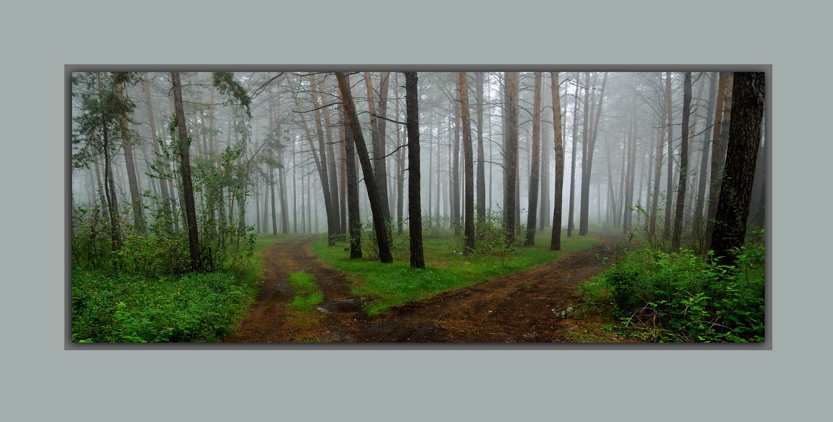 две дороги в тумане - Анатолий Фирстов