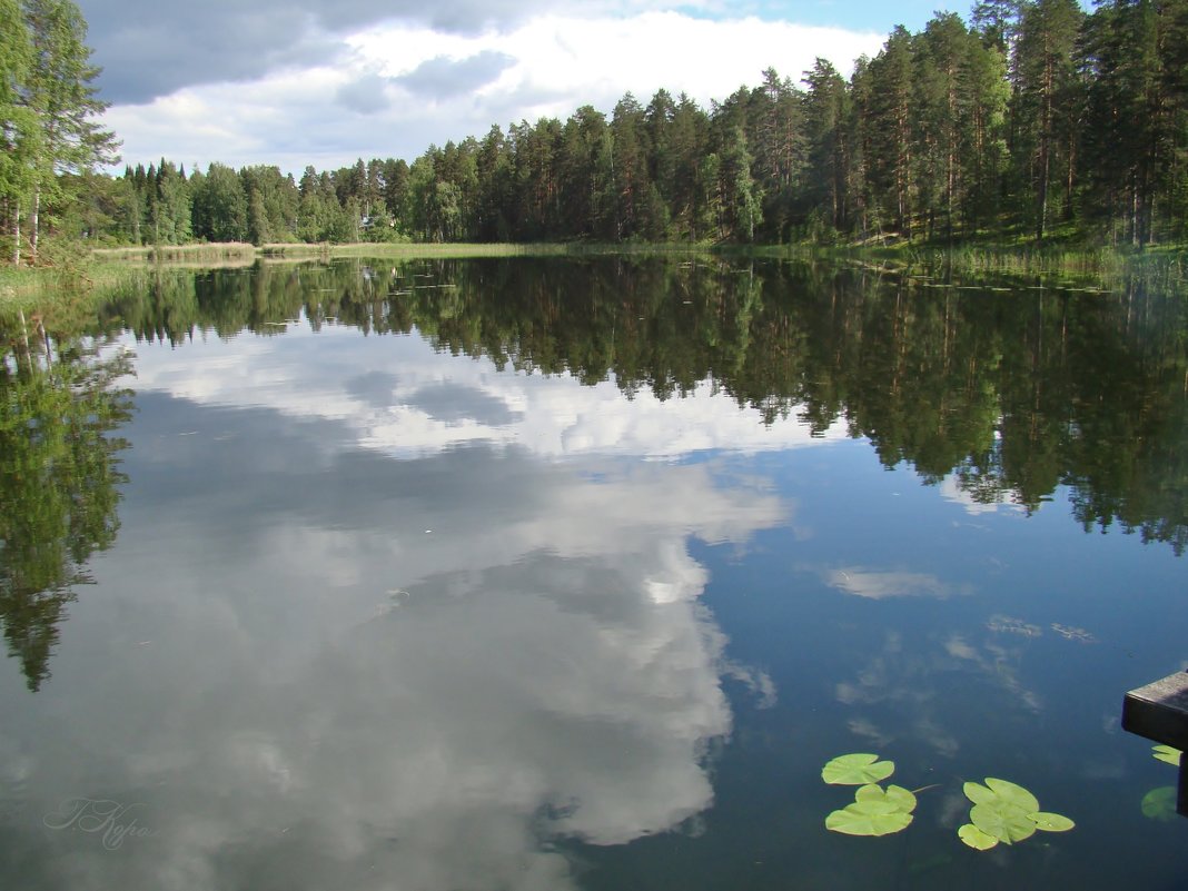 Природное зеркало - ♛ Г.Король