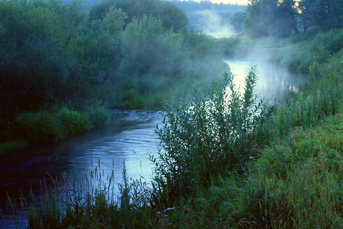 Река и туман - Людмила Быстрова