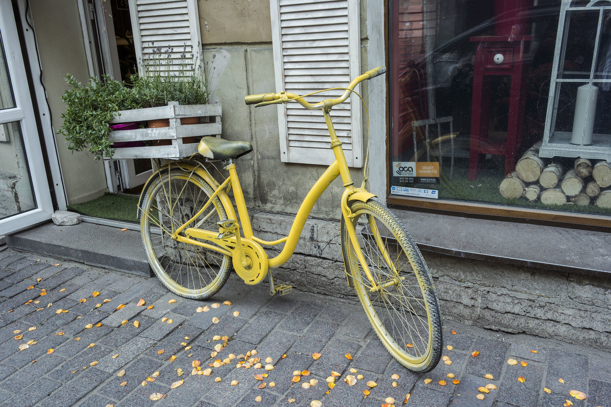 Жёлтый велосипед - Aнна Зарубина