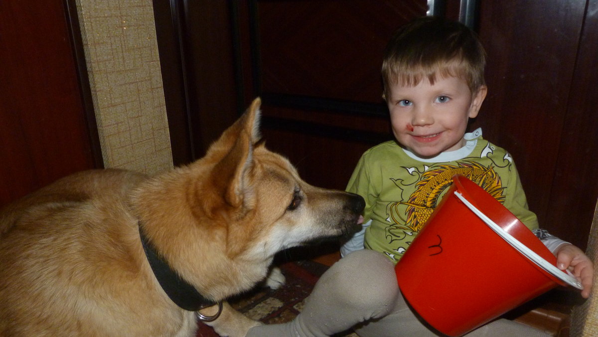Мальчик и собака - vovam3999 
