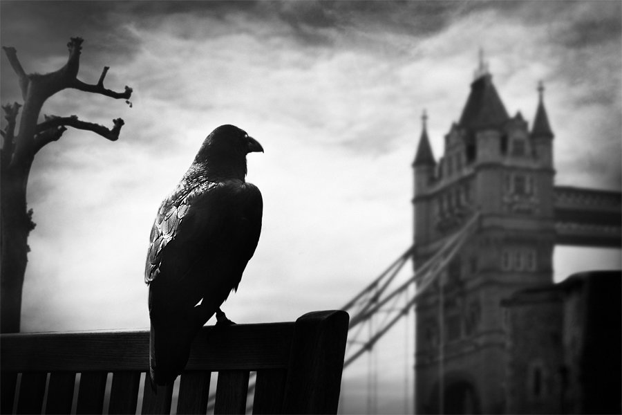 Tower of London... - Eddi Gershengoren 