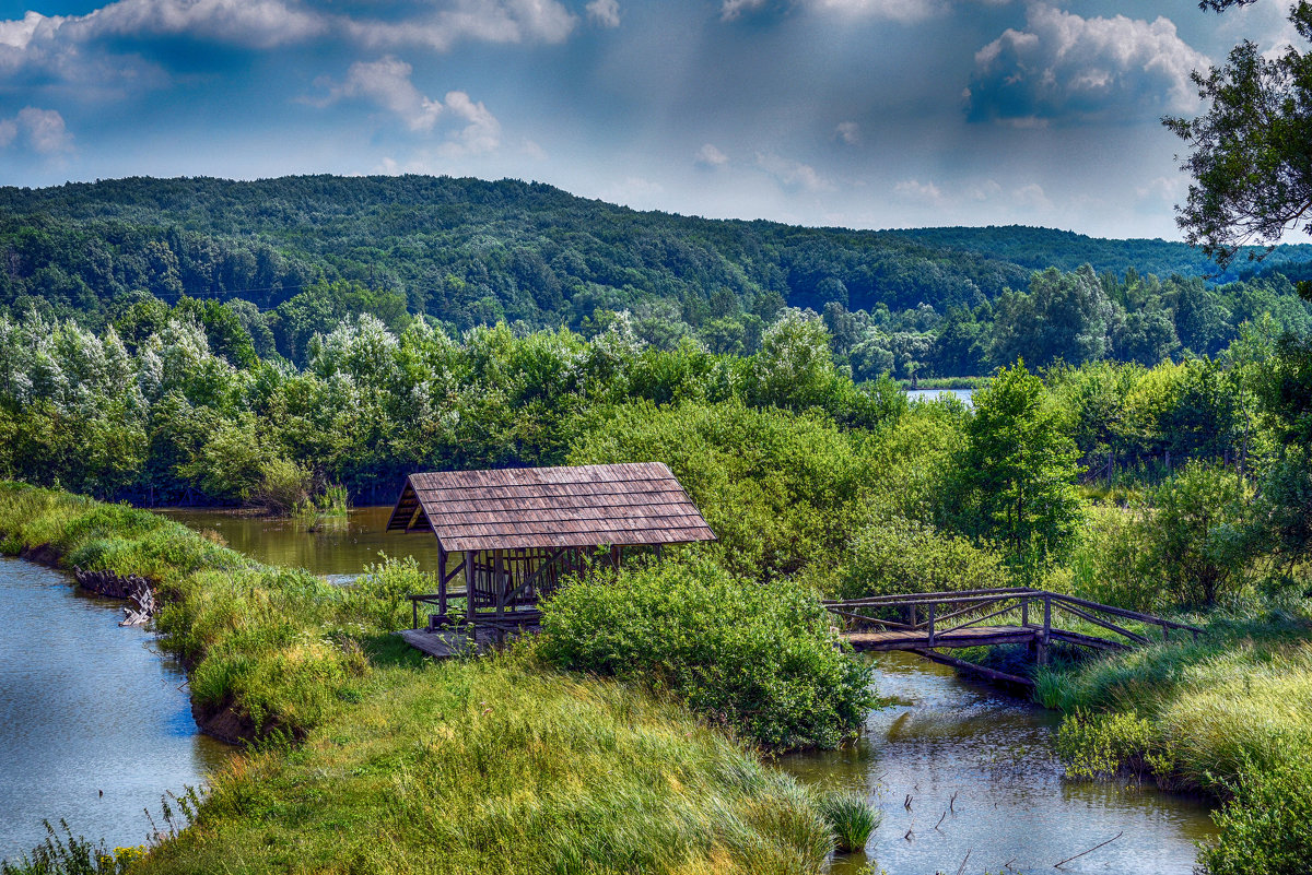 Карпаты - ALLA Melnik 