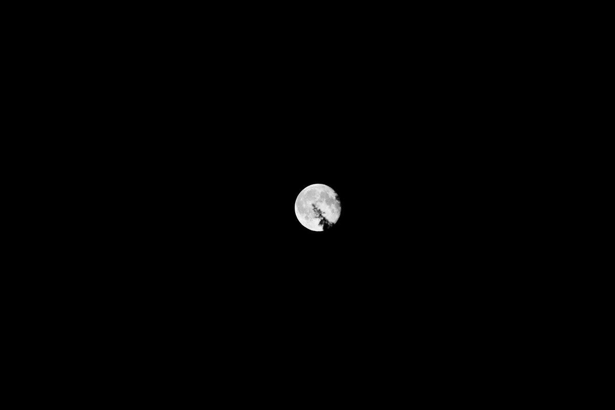 Луна - Владимир 