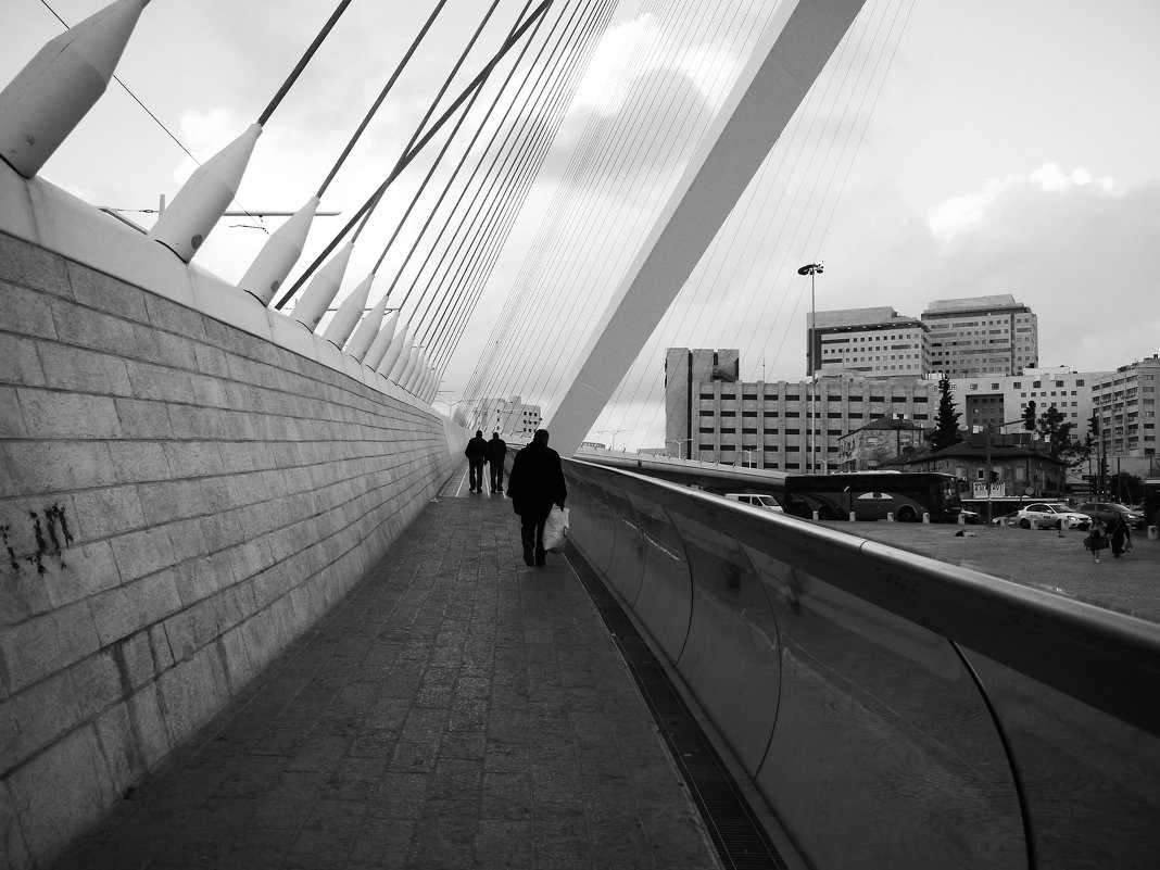 Пешеходы на Струнном мосту - Алла Шапошникова