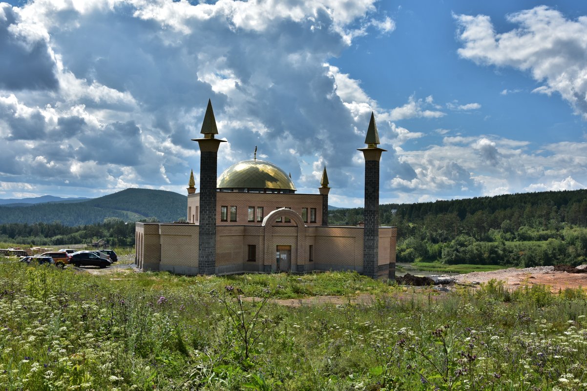 Новая мечеть - Виктор Прохоренко