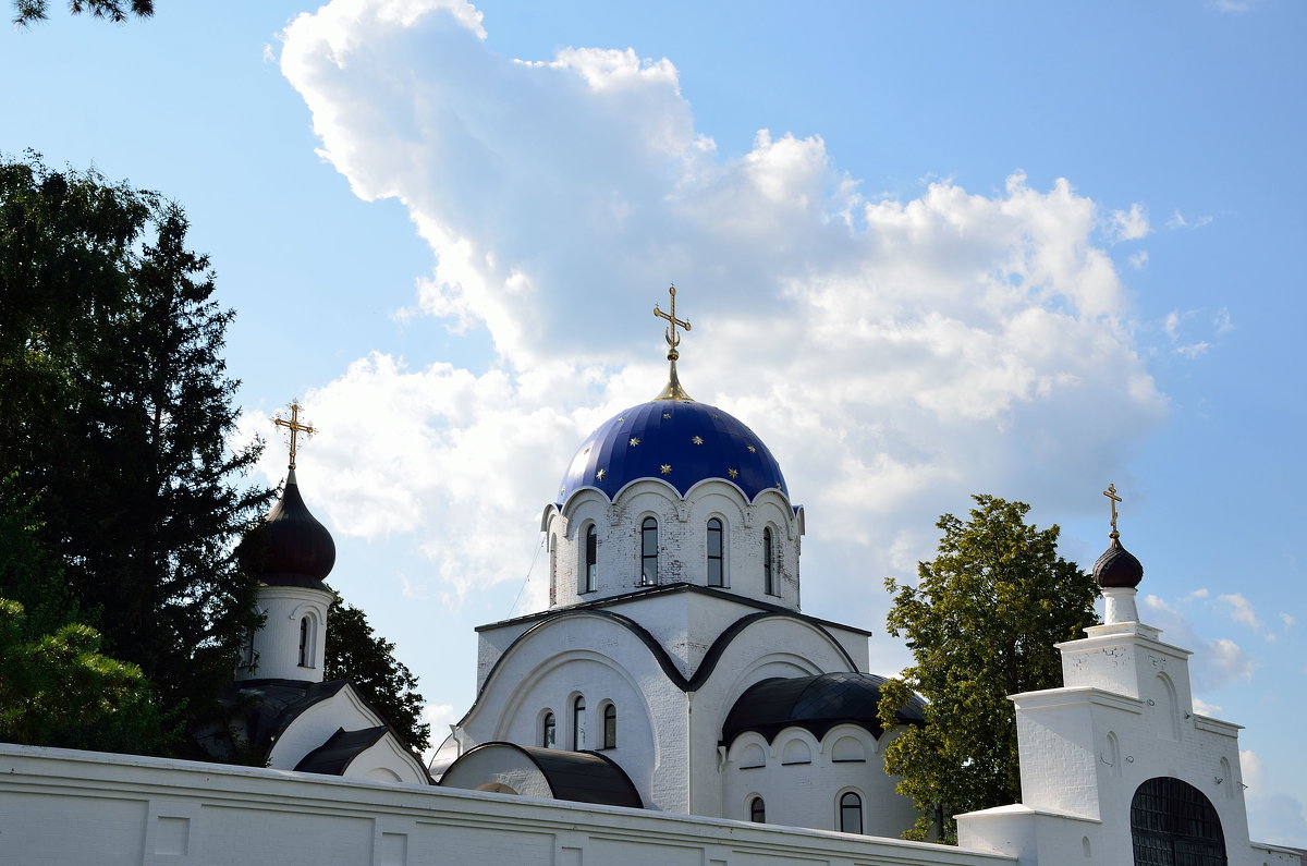 Храм в честь прп. Саввы Освященного - Александр Стариков