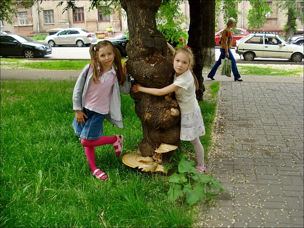 У дерева с грибами - Нина Корешкова