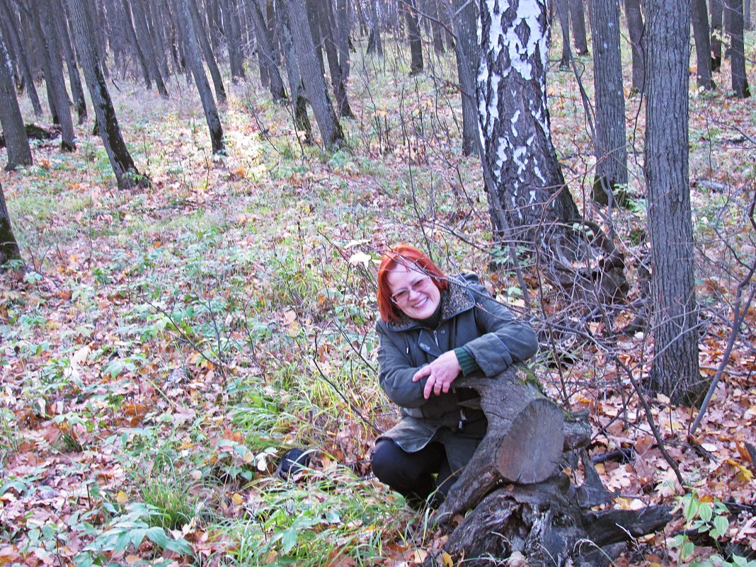 Осень в лесу - Татьяна Овчинникова