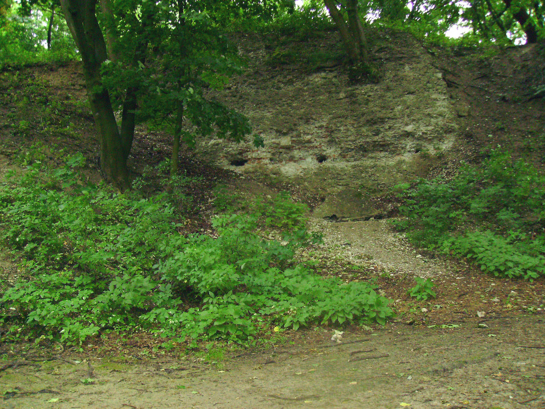Остатки  крепостной  стены  в  Галиче - Андрей  Васильевич Коляскин